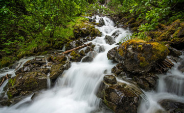 Картинка природа реки озера вода поток лес камни