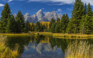 Картинка природа реки озера лес отражение трава осень деревья озеро горы wyoming grand teton сша