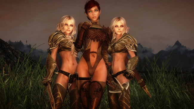 Обои картинки фото the elder scrolls v,  skyrim, видео игры, оружие, фон, взгляд, эльфийки