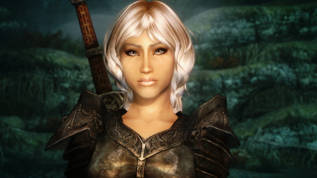 Обои картинки фото видео игры, the elder scrolls v,  skyrim, фон, взгляд, девушка