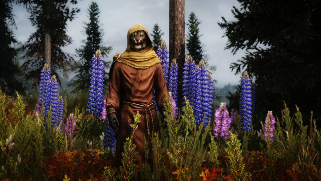 Обои картинки фото видео игры, the elder scrolls v,  skyrim, персонаж