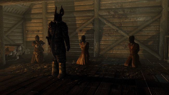 Обои картинки фото видео игры, the elder scrolls v,  skyrim, пленицы, существо, фон, взгляд, девушки