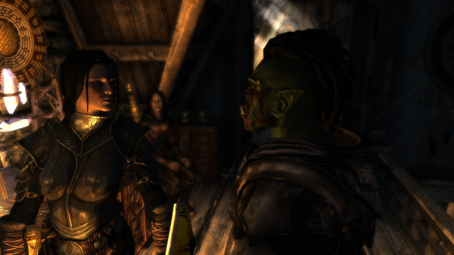 Обои картинки фото видео игры, the elder scrolls v,  skyrim, существо, фон, взгляд, девушки