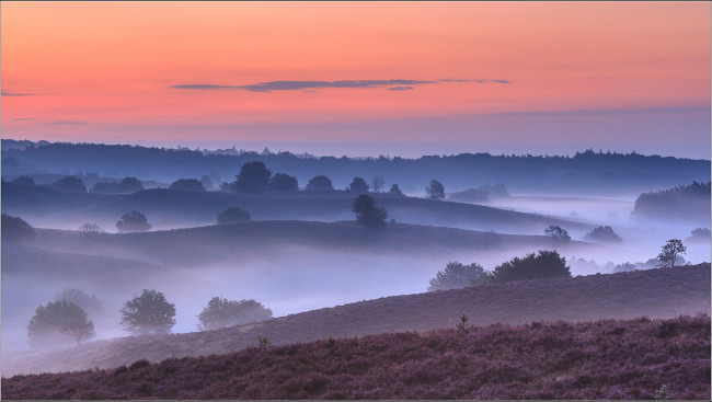 Обои картинки фото природа, пейзажи, туман, пейзаж