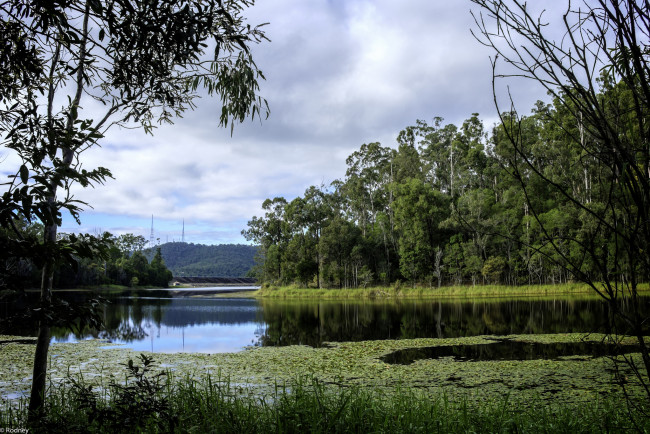 Обои картинки фото природа, реки, озера, деревья, река