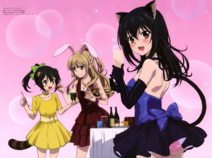 Картинка аниме strike+the+blood девушки