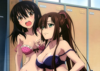 Картинка аниме strike+the+blood девушки