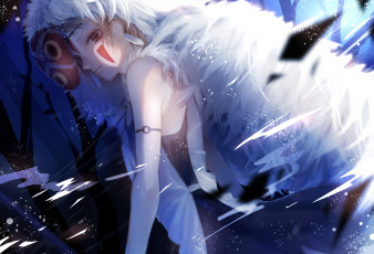 Картинка аниме mononoke+hime san