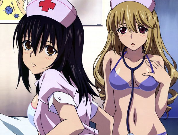 Обои картинки фото аниме, strike the blood, девушки