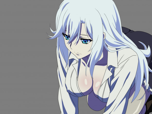 Обои картинки фото аниме, strike the blood, девушка