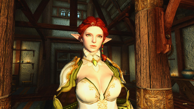 Обои картинки фото the elder scrolls v,  skyrim, видео игры, фон, взгляд, эльфийка