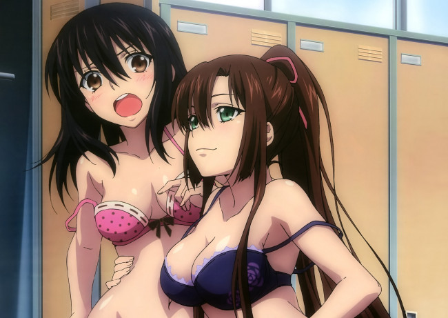 Обои картинки фото аниме, strike the blood, девушки