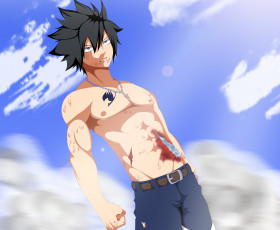 Картинка аниме fairy+tail хвост феи