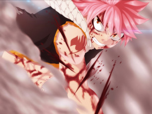 Картинка аниме fairy+tail хвост феи