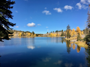 Картинка природа реки озера отражение река вода