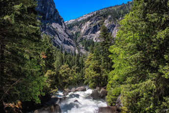 Картинка природа реки озера простор