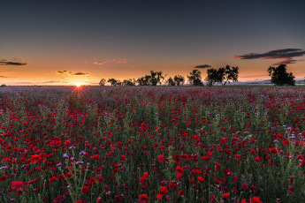 Картинка природа восходы закаты простор