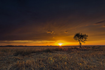 Картинка природа восходы закаты простор