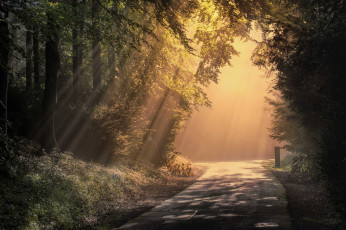 Картинка природа дороги простор