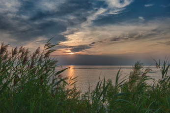 Картинка природа побережье простор