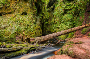 Картинка природа реки озера простор