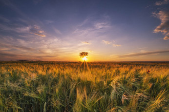 Картинка природа восходы закаты простор