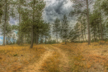 Картинка природа дороги простор