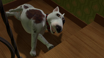 Картинка мультфильмы toy+story ошейник собака