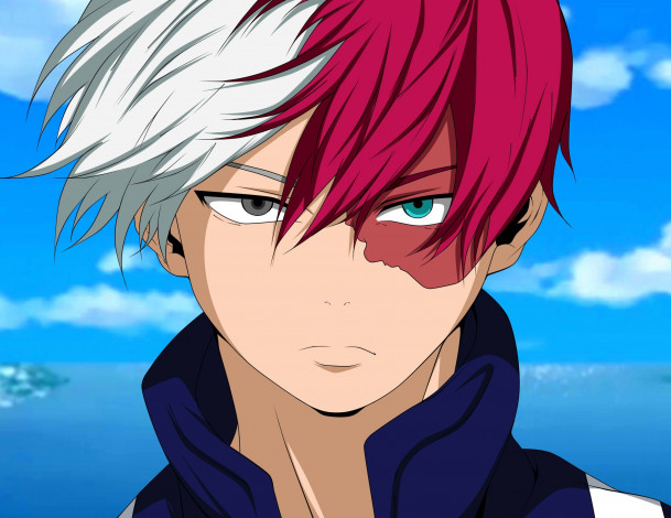 Обои картинки фото аниме, boku no hero academia, тодороки, шото