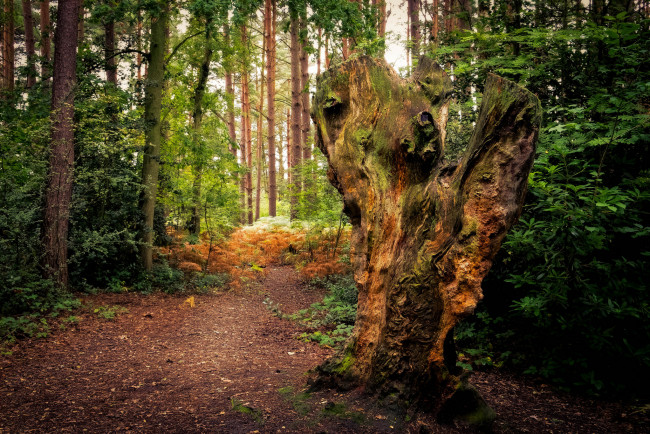 Обои картинки фото природа, дороги, простор