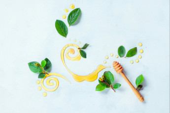 Картинка натюрморт еда мёд +варенье +повидло +джем узор листья