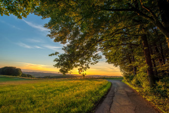 Картинка природа дороги простор