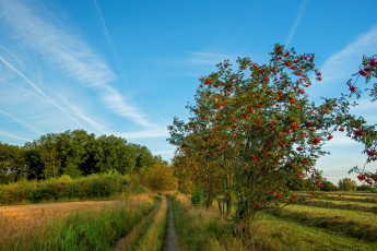 Картинка природа дороги простор