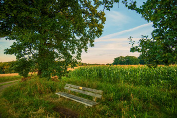 Картинка природа пейзажи простор