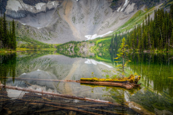 Картинка природа реки озера простор