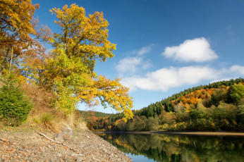 Картинка природа реки озера простор