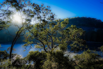 Картинка природа реки озера простор