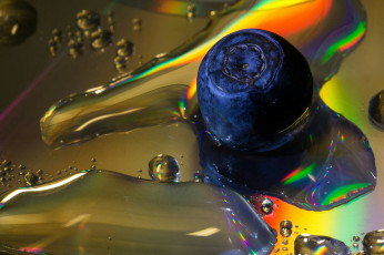 Картинка ягода природа Ягоды вода макро капли черника