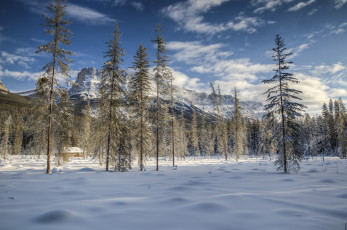 Картинка природа зима простор