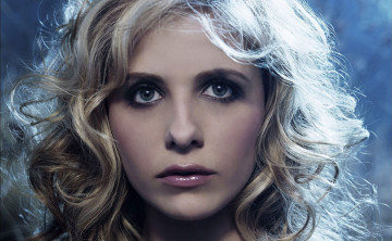 Картинка девушки sarah+michelle+gellar актриса блондинка лицо