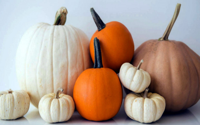 Обои картинки фото еда, тыква, урожай