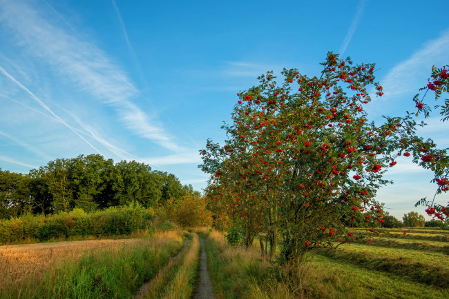 Обои картинки фото природа, дороги, простор