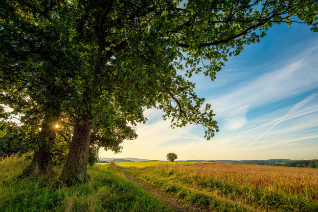 Обои картинки фото природа, пейзажи, простор