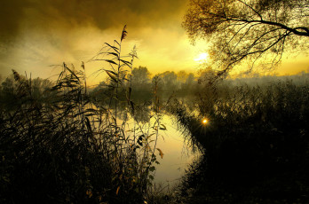 Картинка природа реки озера простор