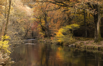 Картинка природа реки озера простор