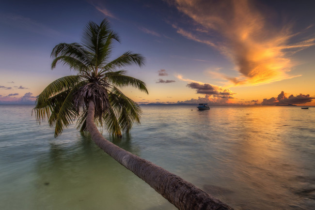 Обои картинки фото природа, тропики, простор