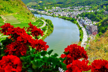 обоя города, кохем , германия, река, панорама