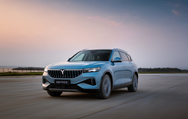 Обои картинки фото автомобили, voyah