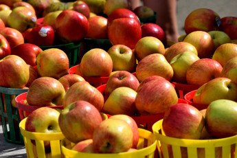 Картинка еда яблоки краснобокие