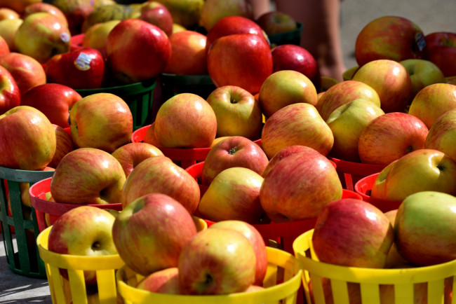 Обои картинки фото еда, яблоки, краснобокие